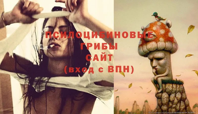 Галлюциногенные грибы Psilocybe  Кирс 